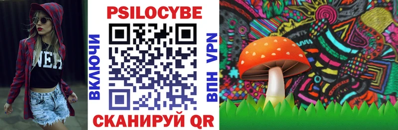 Купить  Гай  Галлюциногенные грибы мицелий 
